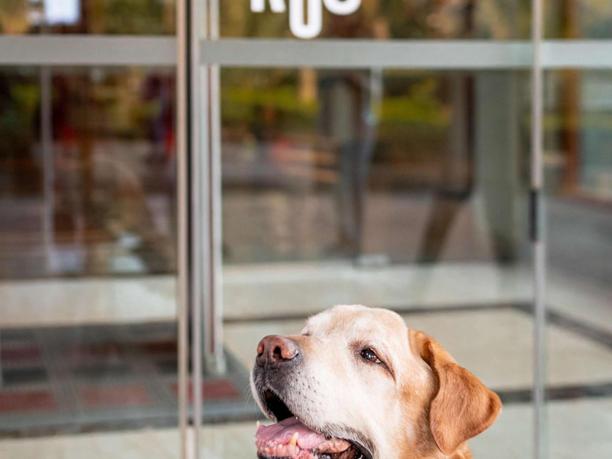 Ibis Madrid Calle Alcala Екстериор снимка